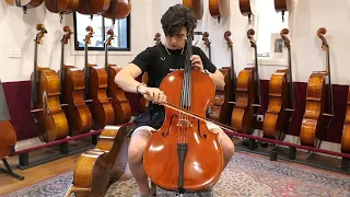 European made cello comparison