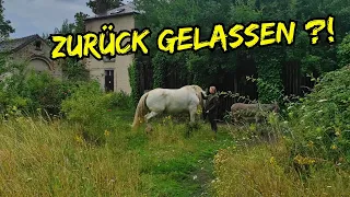 😥verlassenes MILLIONENANWESEN mit TIEREN zurück GELASSEN!