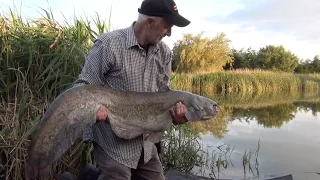 Catfishing With Mick Brown - Summer Fun Fishing (Video 99.6)