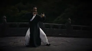 Wudang Master Tai He Quan Supreme Harmny Form