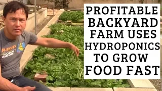 Profitable Backyard Farm uses Hydroponics to Grow Food Fast