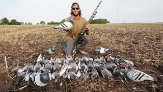 Hunting Pigeons with My New Most Realistic Pigeon Decoys!!