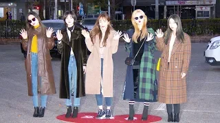 [4K영상] 이엑스아이디(EXID), 피곤한 모습도 이뻐(181130)