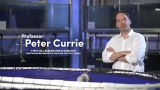 Monash Research Champion | Professor Peter Currie