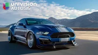 El Shelby Mustang Super Snake 2018-2019 en acción | Univision Autos