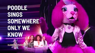 Poodle's 'Somewhere Only We Know' Performance - Season 4 | The Masked Singer Australia | Channel 10