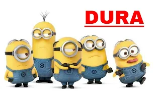 Dura - Daddy Yankee new song 2018 | "Dancing Minions" HD