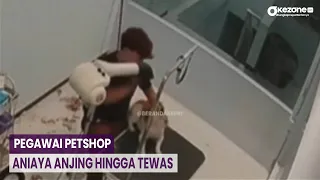 OKEFLASH: Geger! Pegawai Petshop Pukul Anjing Konsumen hingga Tewas