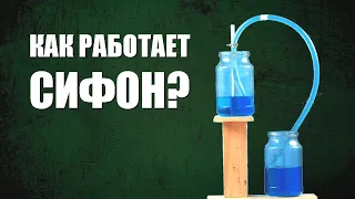 За счёт чего сифон перекачивает воду?