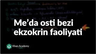 Meʼda osti bezi ekzokrin faoliyati | Ovqat hazm qilish tizimi | Tibbiyot