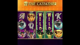 The Catfather (Pragmatic Play) - Big Win