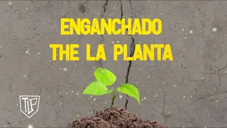 ENGANCHADO | THE LA PLANTA 2022 💣