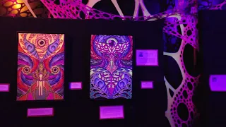 Gaia Connection 2022 - Exposição de artes