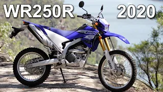 I bought a 2020 Yamaha WR250R! And WHY!