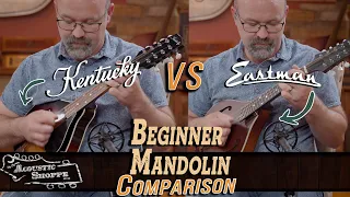 Beginner Mandolin Comparison! | Eastman MD305 VS Kentucky KM-150 | Which Should You Buy?