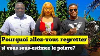 Pourquoi allez-vous regrettez si vous sous-estimez le poivre?