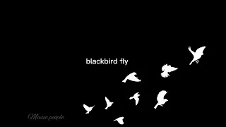 Blackbird,The Beatles (lyrics) The White Album (1968)