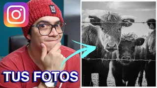 REACCIONANDO A FOTOS DE SEGUIDORES EN INSTAGRAM! 🤩