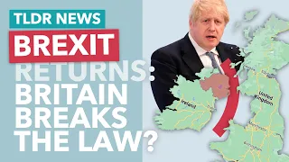 Britain Scraps the Northern Ireland Protocol? - TLDR News