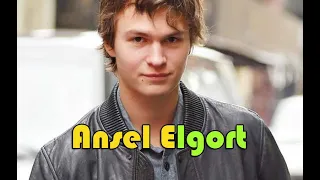 안셀 엘고트 X Ansel Elgort Tribute