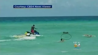 Man Bitten By Shark Off Haulover Beach