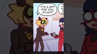 Cat Noir's Gift - Miraculous Ladybug [Comic Dub] | PHANTOMSAVAGE