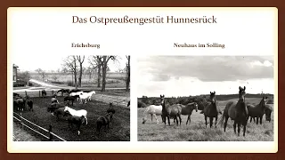 16. Trakehner Kamingespräch