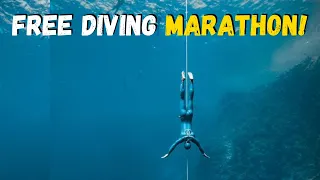Free Diving Gone Wrong MARATHON #1