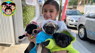 LLEVAMOS LOS PERRITOS AL VETERINARIO | Guzmancitos