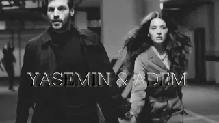 Yasemin & Adem || Mirrors [FINAL]