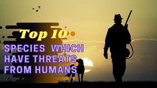 Top 10 animal threatened by human activities | Borny with pets