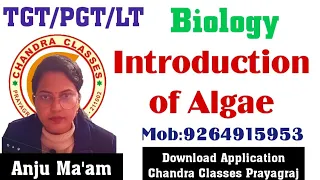 INTRODUCTION OF ALGAE II BEST CLASS II LT/ TGT/PGT BIOLOGY II BY ANJU MAM