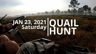 Quail Hunt 2021 January Day 1 of  2