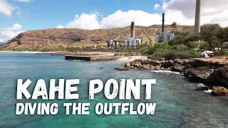 Kahe Point (aka Electric Beach) | Diving the pipes by the powerplant