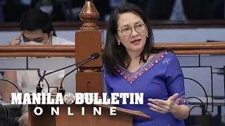 ‘Charter change is unnecessary, a mere distraction’—Hontiveros insists