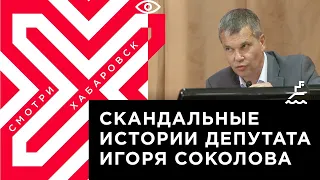 Депутату ЛДПР Соколову из команды Фургала суд назначил общественные работы за долги по алиментам