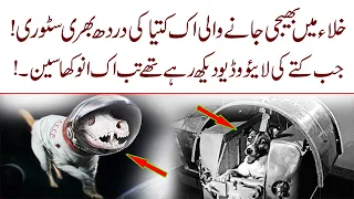 The Painful Story of a Dog Sent into Space || Most sad and Painfull Story Of Dog Laika in Hindi