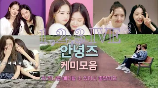 [아이브] 1,2,3 IVE 속 안녕즈 케미 모음