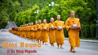 Alms Round at Ba Vang Pagoda: Within the Spirit of Independence Day