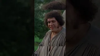 Я это специально. Я не промахиваюсь. Princess bride (1987)