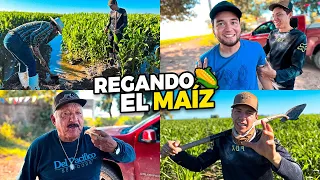 REGANDO EL MAÍZ🌽DE @elmariomt7862 NOS AVENTAMOS UNA BUENA COMIDA🐟