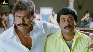 Maryada Ramanna Movie Sunil Supreet and Mallusuri Scene | Sri Balaji Video