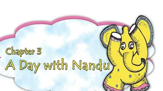 A day with Nandu EVS class 4th chapter 3 full explanation with exercises हिंदी में