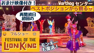 完全版に戻った❣再開初日✨フェスティバル・オブ・ライオンキング🦁ベスポジからのフルショー＆初回の様子✨二本立て❣（ディズニーワールド）