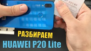 Как снять заднюю крышку и разобрать HUAWEI P20 LITE. Mobline