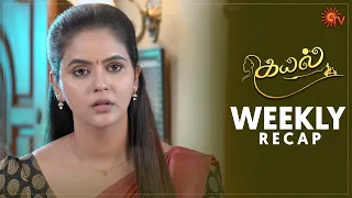 Kayal | Ep 199 - 204 Recap | Weekly Recap | Sun TV | Tamil Serial