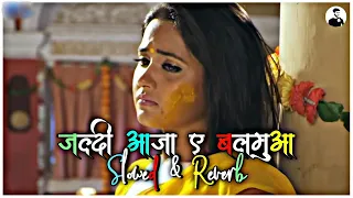 बुलबुल बिरह में मार जाई - Instagram viral Song || Jaldi Aaja e Balamua Kalpana patwari Lofi Song