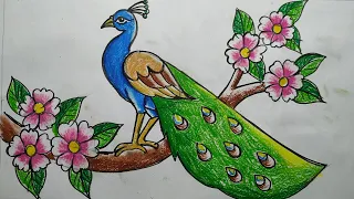 how to draw a peacock step by step,easy peacock drawing,how to draw peacock by oil pastel color,