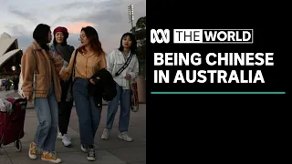 Landmark survey reveals what it’s like to be Chinese in Australia |The World