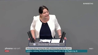 Bundestagsdebatte über Antrag der AfD auf Kürzung des EU-Budgets am 17.05.19